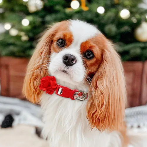 Miniatura 2 de Collares navideños para perros con flor roja extraíble, collar grande para perros hembras