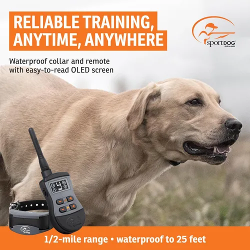 Miniatura 2 de SportDOG SportTrainer - Entrenador remoto - Control fiable fuera de la correa - Pantalla OLED - Collar de entrenamiento impermeable para perros