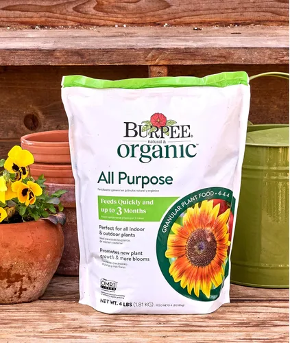 Miniatura 5 de Burpee Alimento Orgánico Granular de Propósito Natural de 4 Libras para Cultivar Plantas Fuertes Bueno para Huerto de Vegetales, Jardín de Flores