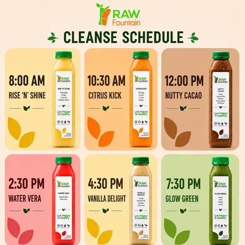 Miniatura 4 de Raw Fountain, limpieza de jugo de proteína de 3 días, limpieza desintoxicante cruda totalmente natural, frutas prensadas en frío, verduras, sabor