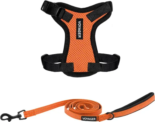Miniatura 41 de Best Pet Supplies Voyager Step-in Lock - Arnés para mascotas con correa reflectante para mascotas, con mango de neopreno de 5 pies, soporta