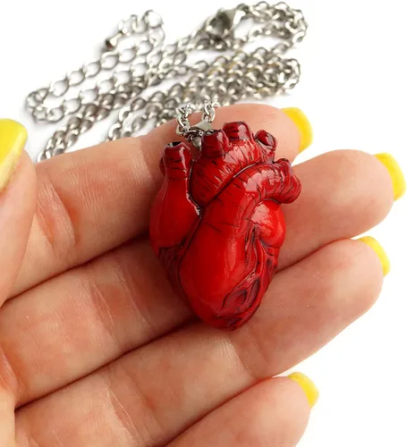 Miniatura 14 de Collar de corazón anatómico