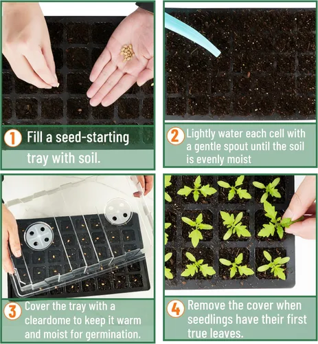 Miniatura 5 de Mr. Pen - Kits de bandejas de inicio de semillas, juego de 5, total de 200 celdas, bandejas duraderas para germinación de plantas con cúpulas