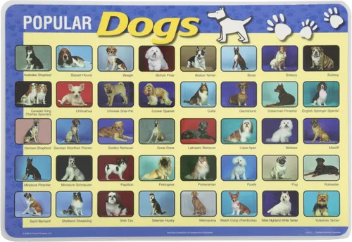 Miniatura 12 de Painless Learning Popular Birds - Mantel individual, tamaño grande