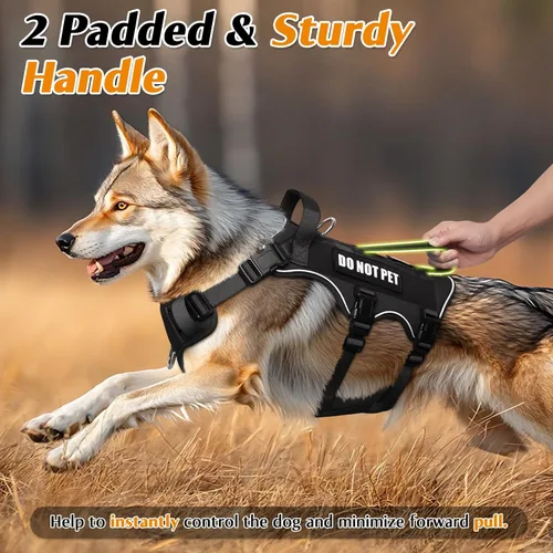 Miniatura 3 de WINSEE - Arnés para perro a prueba de fugas, arnés Molle de servicio y trabajo con doble asa, chaleco táctico para mascotas con 4 parches