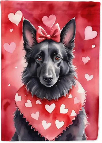 Miniatura 120 de Caroline's Treasures DAC5292CHF - Bandera de Border Collie My Valentine House para porche, grande, con manga para porche, para colgar en la pared