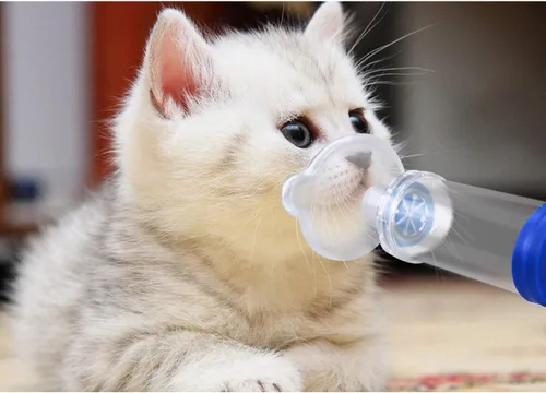 Miniatura 5 de Espaciador inhalador de gato/perro, inhalador de gato, cámara de aerosol felino, viene con máscara de 2 tamaños para gato/perro e instrucciones