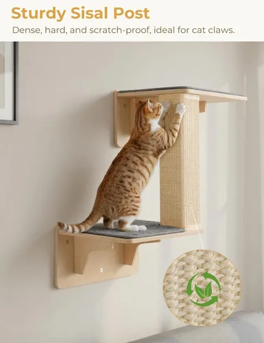 Miniatura 4 de Pecute Estantes dobles para gatos con poste rascador para pared y ventana con madera maciza, ventosa fuerte, alfombrilla de cubierta lavable, cama