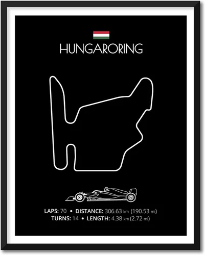Miniatura 80 de Custom Car Posters Póster hecho a mano compatible con Autodromo Enzo e Dino Ferrari (Imola, Italia), póster de pista de carreras diseñado