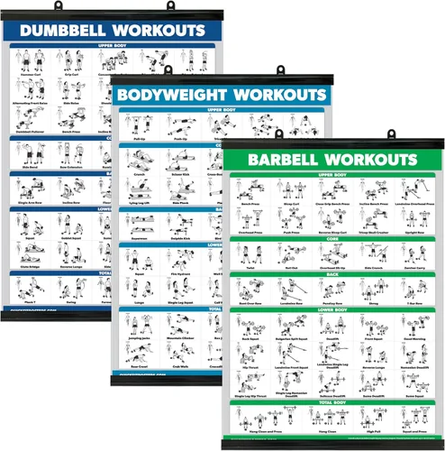 Miniatura 7 de QUICKFIT - Juego de 3 tablas de entrenamiento con mancuernas + ejercicios de peso corporal + póster de rutina con barra – Juego de 3 tablas