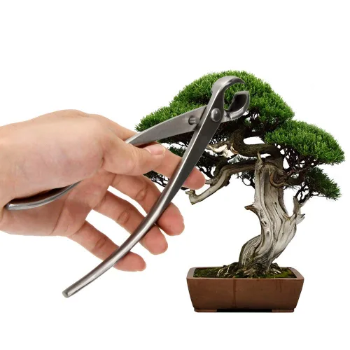 Miniatura 6 de Cortador de perilla de acero inoxidable, cortador de bonsái, cortador cóncavo, herramienta de jardinería de 8.268 in, pinzas todas fueron fabricadas