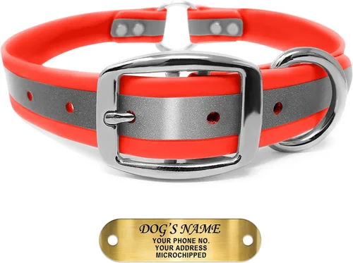 Regal Dog Products Collar de perro reflectante naranja grande con placa de nombre grabada personalizada y anillo central resistente | Collares de