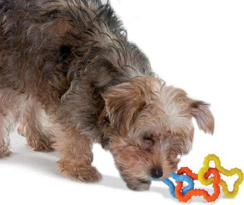 Miniatura 6 de Petstages Mini juguete masticable para cachorros con forma de hueso