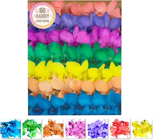 Miniatura 10 de Miami Fresh Orchid Flower OrchidClub USA Sunne Tropical Loose Bloom DIY Lei, decoración de alimentos y bebidas (50 amarillos)
