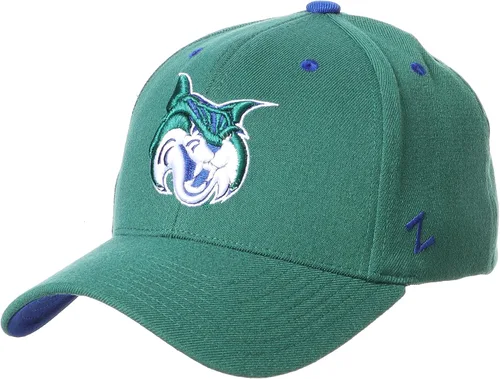 Miniatura 65 de ZHATS - Sombrero ajustado elástico para hombre de la NCAA, color del