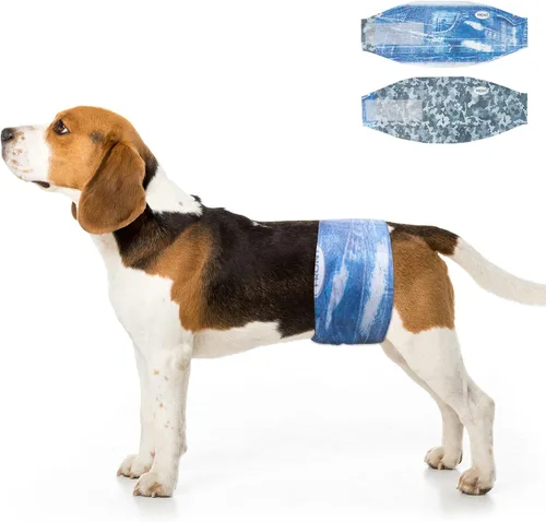 Miniatura 7 de Dono Pañales desechables para perros machos, pañales más anchos para cachorros, bandas para el vientre macho, superabsorbentes, ajuste a prueba