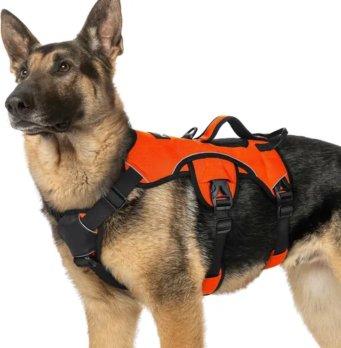 Miniatura 15 de rabbitgoo - Arnés para perro a prueba de fugas, arnés para mascotas acolchado suave de cuerpo completo, chaleco reflectante ajustable sin tirones
