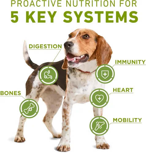 Miniatura 2 de Purina ONE Plus Soporte para todo el cuerpo con alimento seco para perros de pollo - Bolsa de 16.5 libras