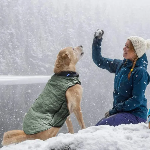 Miniatura 5 de EMUST Abrigos de invierno para perros, chaquetas resistentes al viento para clima frío, ropa de cachorro con cuello alto, 7 tamaños, 13