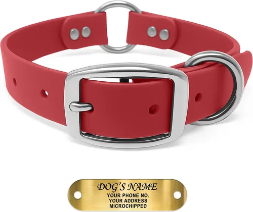 Miniatura 12 de Regal Dog Products Collar de Perro Naranja Mediano con Placa de Nombre Grabada Personalizada - Ajuste Personalizado, Resistente, Fácil de Limpiar