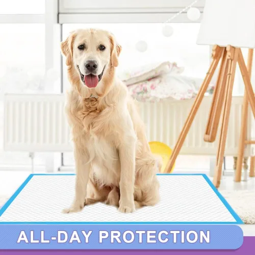 Miniatura 8 de IMMCUTE Almohadillas desechables para orina de cachorros de 22 x 23 pulgadas, 80 unidades, almohadillas de entrenamiento para orina de perro