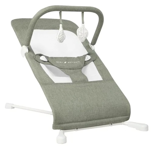 Baby Delight Highland Baby Bouncer para bebé | Infantil | 0 – 6 meses | Reclinable en 3 posiciones | Sage Tweed Tweed salvia