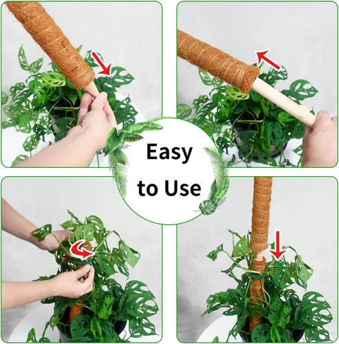 Miniatura 7 de JJGoo Poste de musgo para plantas Monstera, paquete de 2 postes de soporte para plantas de 23.6 pulgadas, poste de tótem de fibra de coco extensible