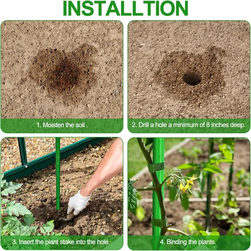 Miniatura 5 de WAENLIR Estacas para plantas de jardín, para soporte, para tomates, 5 pies / 1.52 metros, Paquete de 50