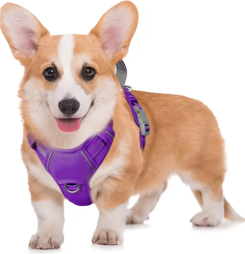 Miniatura 58 de BARKBAY Arnés para Perro Sin Tirones Talla Grande Arnés Reflectante para Perro con Clip Frontal y Asa de Control Fácil para Caminar Entrenar Correr