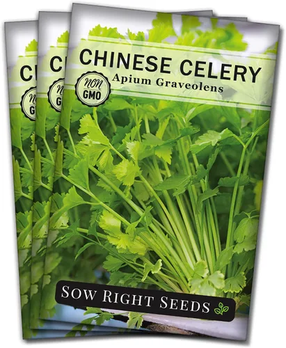 Miniatura 8 de Sow Right Seeds - Semillas de apio chino para plantar - Paquete de semillas autóctonas sin OMG con instrucciones para plantar y cultivar un jardín