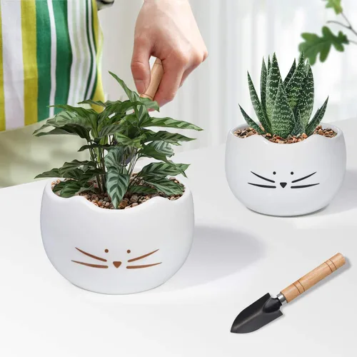 Miniatura 3 de Koolkatkoo Juego de 2 macetas para suculentas de 5.5 pulgadas, diseño de cactus, macetas blancas