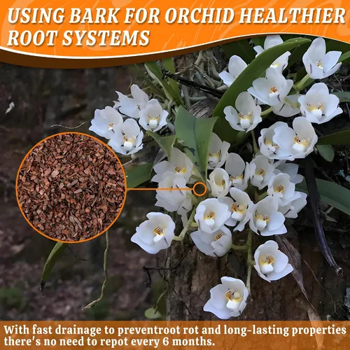 Miniatura 3 de AVALUTION Corteza para macetas de orquídeas: corteza de orquídea orgánica de 3 cuartos para plantas, todos los chips de madera de corteza de pino