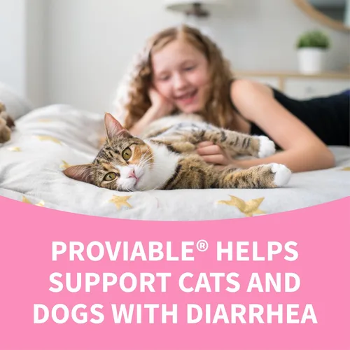 Miniatura 9 de Nutramax Proviable Probióticos para Perros y Gatos, Suplemento Diario para la Salud Digestiva con Múltiples Cepas de Bacterias, Probióticos