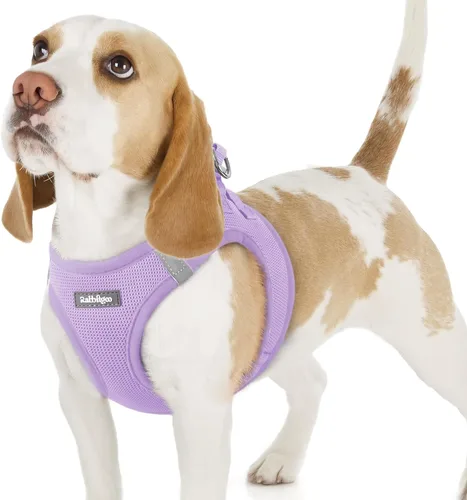 Miniatura 137 de rabbitgoo Arnés para perro pequeño, chaleco de malla suave para cachorros con hebilla de seguridad, arnés reflectante transpirable para mascotas