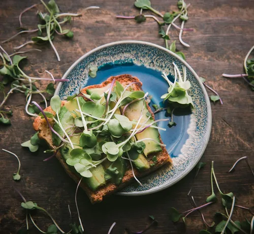 Miniatura 7 de Superfood Microgreen Seeds Mix para bandejas de cultivo Microgreens 1 libra Semillas de colinabo morado sin OMG, colinabo, rábano, nabo