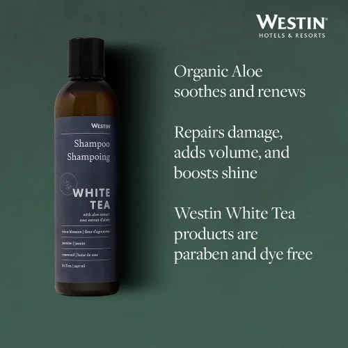 Miniatura 4 de Westin Champú de aloe de té blanco, champú lleno de vitaminas y antioxidantes para todo tipo de cabello, aroma a aloe de té blanco, 8 onzas