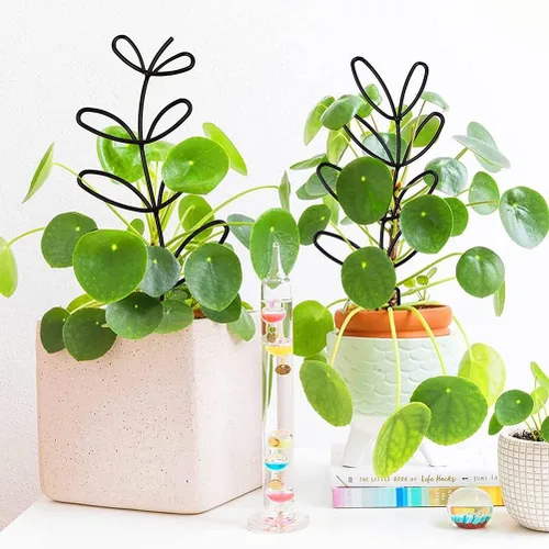 Miniatura 2 de Enrejado de jardín, enrejado pequeño en forma de hoja de hierro forjado para vides, rosas, plantas trepadoras, plantas en maceta (blanco)