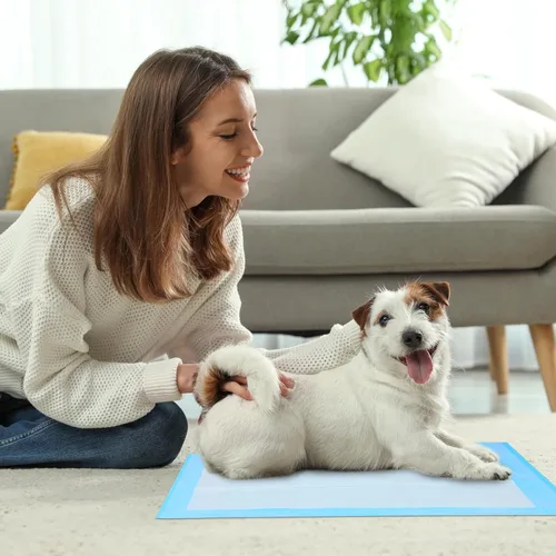 Miniatura 4 de FluffyDream Almohadilla de Entrenamiento Impermeable Súper Absorbente para Perros y Cachorros, Almohadilla para Mascotas para Entrenar en Casa, Azul