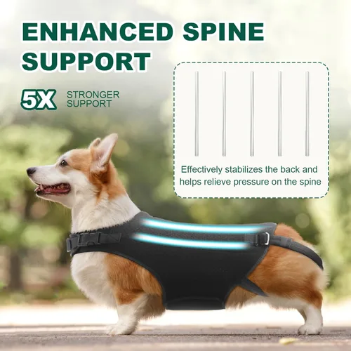 Miniatura 4 de Soporte de espalda para perro para IVDD, artritis, discos deslizados y herniados - Proporciona apoyo para la espalda y alivio del dolor, estabiliza