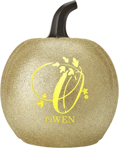 Miniatura 13 de Let's Make Memories - Lámpara de calabaza con nombre - Adorno de otoño - Calabaza luminosa de uso interior/exterior - Nombre e iniciales