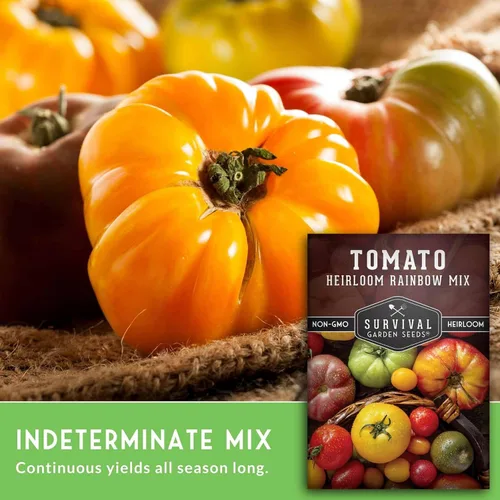 Miniatura 5 de Heirloom Rainbow Mix - Semillas de tomate para plantar, mezcla de semillas coloridas de variedades de reliquia, tomates de jardín de alto