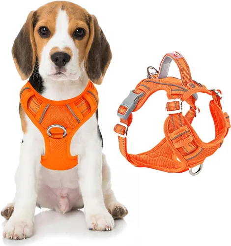 Miniatura 13 de BARKBAY Arnés para perro sin tirones con bolsillo para etiqueta de identificación, resistente, reflectante, fácil control para perros grandes