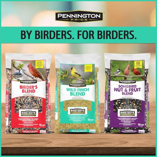 Miniatura 7 de Pennington - Pride Wild Finch - Mezcla de semillas para pájaros silvestres, 10 libras