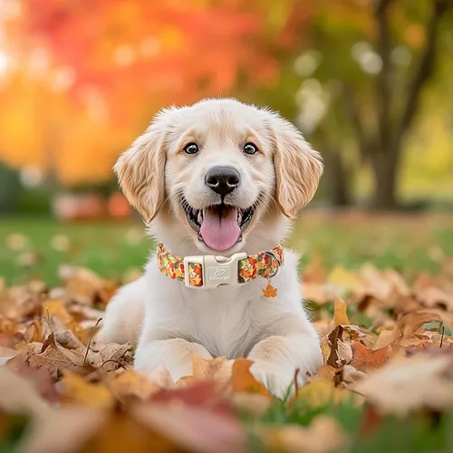 Miniatura 2 de Collar de otoño para perro, lindo collar de cachorro con hojas de otoño, ligero, cómodo, ajustable, para mascotas pequeñas, medianas y grandes