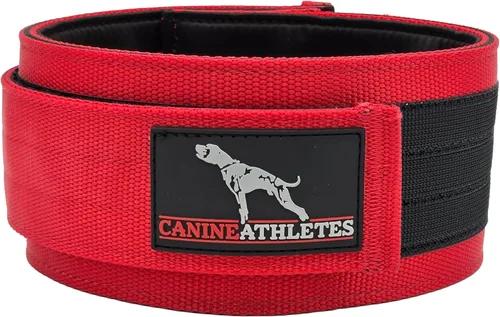 Miniatura 7 de CANINE ATHLETES Collar para perro de trabajo con peso Elite-HD de 3 pulgadas (3 libras, negro)