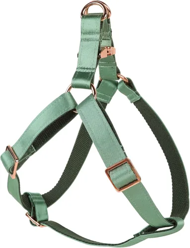 Miniatura 10 de Lionet Paws Arnés para perro, arnés de nailon de seda ajustable sin tirones con hebilla de metal para perros pequeños, fácil caminar, verde oscuro