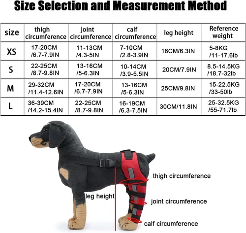 Miniatura 4 de Rodillera ajustable para perro con doble pierna trasera con bisagras de metal soporte flexible y cinturones de seguridad reflectantes, soporte