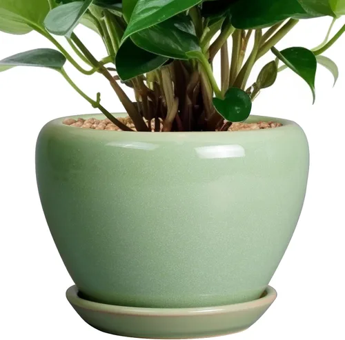 Miniatura 14 de Maceta de Cerámica Moderna con Esmalte para Suculentas con Agujero de Drenaje y Platillo, Maceta Redonda de 6 Pulgadas para Plantas de Flores