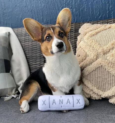 Miniatura 2 de Nestpark Chill Pup - Juguete divertido para perro, juguete de peluche parodia chirriante y arrugado para perros