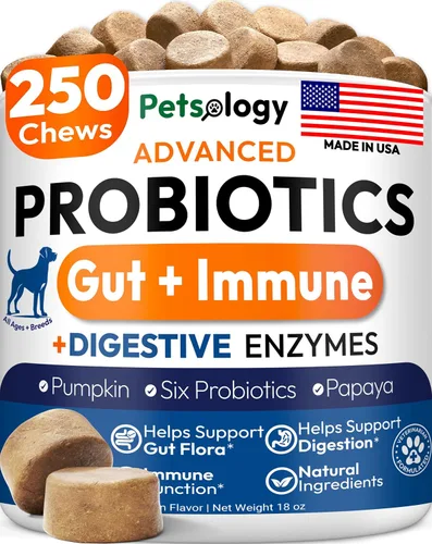 Miniatura 10 de Glucosamina para perros - Suplemento de cadera y articulaciones para perros - 170 masticables de movilidad - Glucosamina condroitina - MSM - Cúrcuma